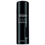 Hair touch up black