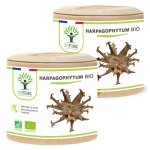 Harpagophytum bio - compl�ment alimentaire - articulation digestion app�tit - 100% poudre de racine pure ...