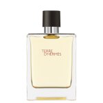 Hermes paris terre d'hermes eau de toilette 100ml