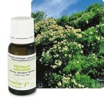 Huile essentielle tea tree 10 ml
