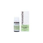 Huile essentielle thym vulgaire a thujanol - pranarm - 1 unit