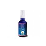 Huile végétale lys blanc (macérat 5% tournesol) 50 ml herbes et traditions Huile végétale lys blanc (macérat 5% tournesol) 50 ml herbes et traditions