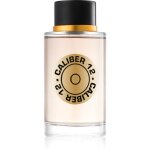 Jeanne arthes caliber 12 eau de toilette pour homme 100 ml