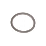 Joint de filtre - brosse � dents �lectrique (ms - 1001400 krups)