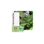 Menthe poivrée bio - huile essentielle mentha piperita 10 ml - pranarôm Menthe poivrée bio - huile essentielle mentha piperita 10 ml - pranarôm