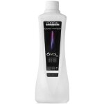 L'oréal révélateur 6 vol. 1, 8% diactivateur 1000ml L'oréal révélateur 6 vol. 1, 8% diactivateur 1000ml