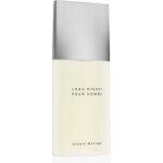 Parfum homme issey miyake l'eau d'issey 125ml