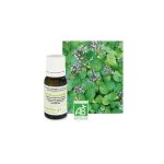 Patchouli bio - huile essentielle pogostemon cablin 10 ml - pranarm