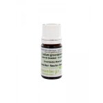 Pranar�m bio huile essentielle l�don du groenland 5 ml