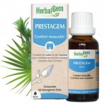 Prestagem complexe confort masculin