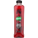 Radox men muscle therapy bain moussant black pepper & ginseng 500 ml
