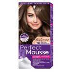 Schwarzkopf perfect mousse - coloration blond fonc beige 746