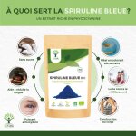 Spiruline bleue bio - bioptimal - en poudre - 55% phycocyanine blue 51% protéines - colorant alimentaire ... Spiruline bleue bio - bioptimal - en poudre - 55% phycocyanine blue 51% protéines - colorant alimentaire ...