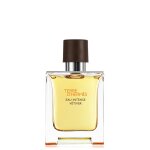 Terre d'hermès - hermès - eau intense vétiver Terre d'hermès - hermès - eau intense vétiver