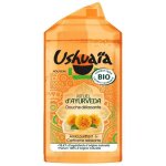 Ushuaia gel douche bio rituel d'ayurveda - parfum amla et carthame - 250 ml Ushuaia gel douche bio rituel d'ayurveda - parfum amla et carthame - 250 ml