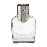 Van gils compatible - basic instinct edt - 40 ml