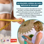 Venteo programme puissance 1000 brûleur de graisses complément alimentaire naturel a base de plantes, ... Venteo programme puissance 1000 brûleur de graisses complément alimentaire naturel a base de plantes, ...
