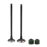 1 pair kit de tige de soupape d'admission et d'�chappement de pi�ces de moteur de moto pour yamaha fzr250r ...