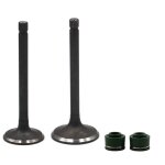 1 pair kit de tige de soupape d'admission et d'�chappement de pi�ces de moteur de moto pour yamaha srv250 ...