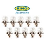 10 ampoules r2 12v 45 / 40w - p45t - projecteur av