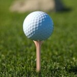 Marque 100 pi�ces professionnel sans friction en plastique golf t� bl� golf t - shirts equipement accessoires ...