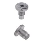 2x boulons de rechange pour golf a entretenir yd884