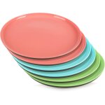 6x assiettes aux couleurs vives - accessoires de pique - nique et barbecue - vaisselle de camping - vaisselle ...