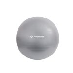 Accessoire de cardio - training schildkrot gymnastikball 65 cm gris