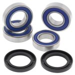 All balls kit roulements de roue arri�re honda cbr600rr