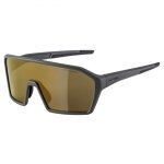 Alpina sports ram hm + lunettes de cyclisme cercl� caf�