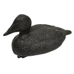 Appelant eider mouss� avec quille lest�e