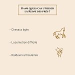 Asfasfq - reine des prés - complément nutritionnel cheval - seau 800 g - confort articulaire - locomotion ... Asfasfq - reine des prés - complément nutritionnel cheval - seau 800 g - confort articulaire - locomotion ...