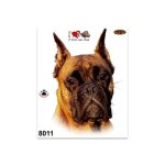 Autocollant sticker chien boxer, 14 x 16 cm