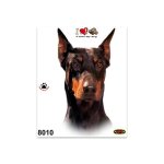 Autocollant - dobermann - 14 x 16 cm - haute qualit - rsistant - couleurs vives
