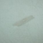 Axe plastique 5mmx36mm pour deux roues scooter mobylette peugeot 705197 neuf