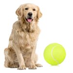 Balle de tennis en caoutchouc avec amortisseur, balle d'entraînement durable, haute elasticité, entraînement ... Balle de tennis en caoutchouc avec amortisseur, balle d'entraînement durable, haute elasticité, entraînement ...