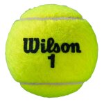 Balles tennis wilson roland garros all court bipack