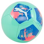 Ballon de football big cat puma
