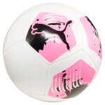 Ballon de football big cat puma