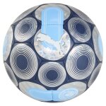 Ballon de football ftblculture + manchester city
