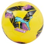 Ballon de football la liga 1 (qualit fifa)