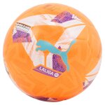 Ballon de football la liga 1 (qualit fifa)