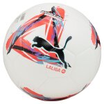 Ballon de football la liga 1 (qualit fifa)