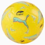 Ballon de football officiel orbita liga f�minine espagnole 23 / 24