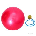 Ballon de stabilit� d'entra�nement en pvc de 55 cm d'�paisseur et pompe anti - eclatement rose