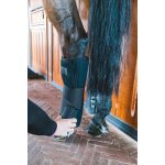 Bandes de repos pour cheval kentucky