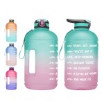 Bouteille d'eau de sport 1 gallon portable avec paille et marqueur de temps, bouteille d'eau de motivation ...