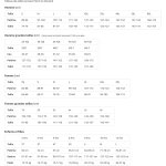 Boxe r�tro / entra�nement des boxeurs - sac lourd vintage t - shirt