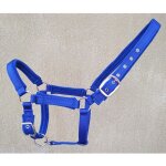 Bride de cheval en pp bleu, licou de cheval, sangle rouge de qualit, equipement de cheval - type blue ...