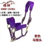 Bride de cheval, produit, petite tte de dragon poney, morsure, equipement d'quitation confortable et ...